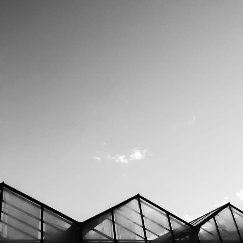 A silver-framed polycarbonate greenhouse in a garden