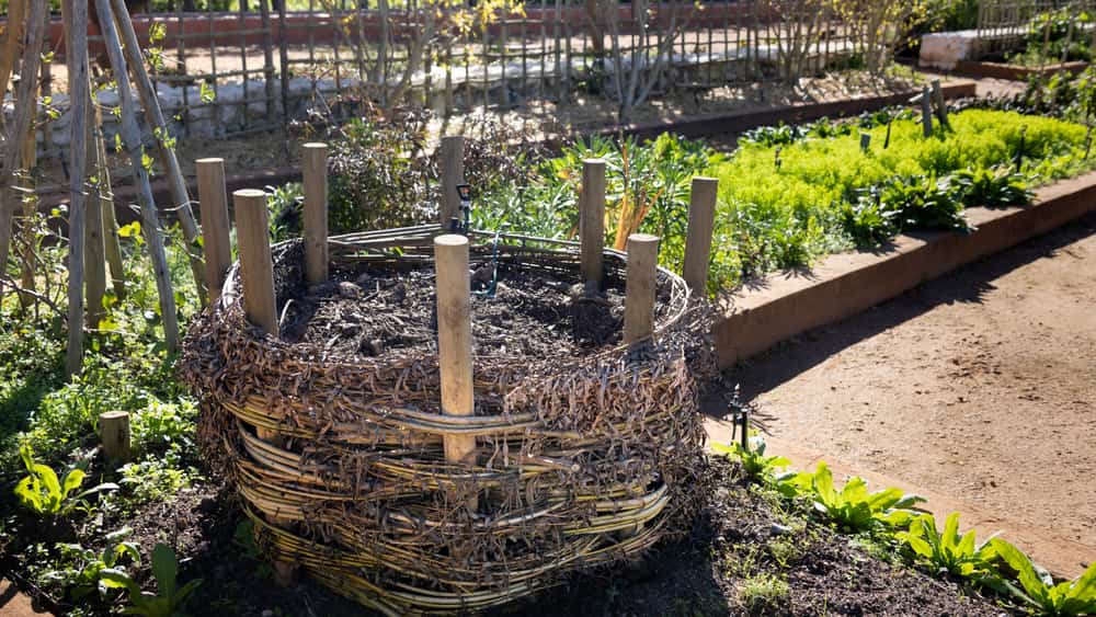 A compost bin standing in a garden beside a bed